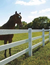Vinyl Horse Fence