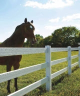 Vinyl Horse Fencing